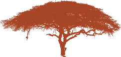 Africa in Style tree logo